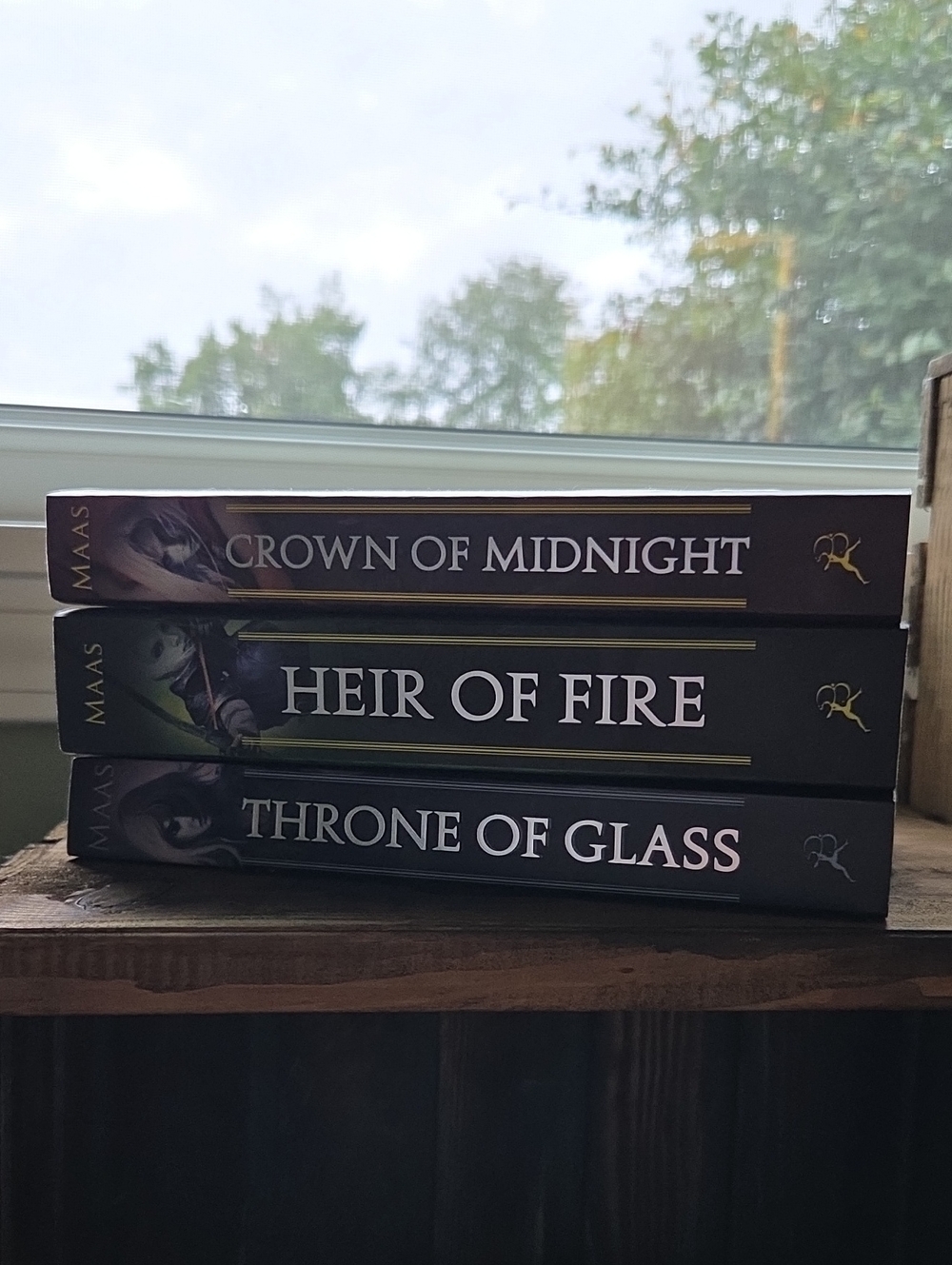 OOP Fantasy Book Set - Crown of Midnight, Heir of Fire, Throne of Glass